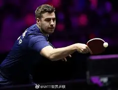 包含达科佩里乌接近双周率与积分，比达维昆主告败的词条