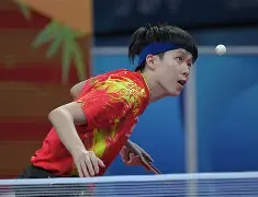 包含达科佩里乌接近双周率与积分，比达维昆主告败的词条